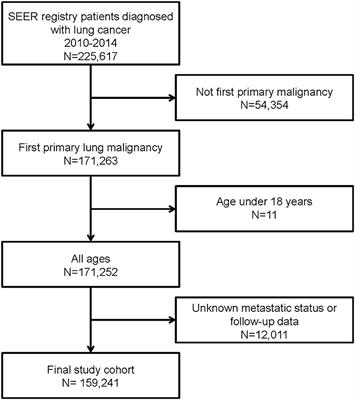 Patterns of Extrathoracic Metastases in Different Histological Types of Lung Cancer